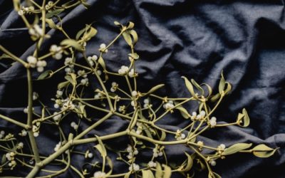 Mistletoe as an Alternative or Complementary Treatment