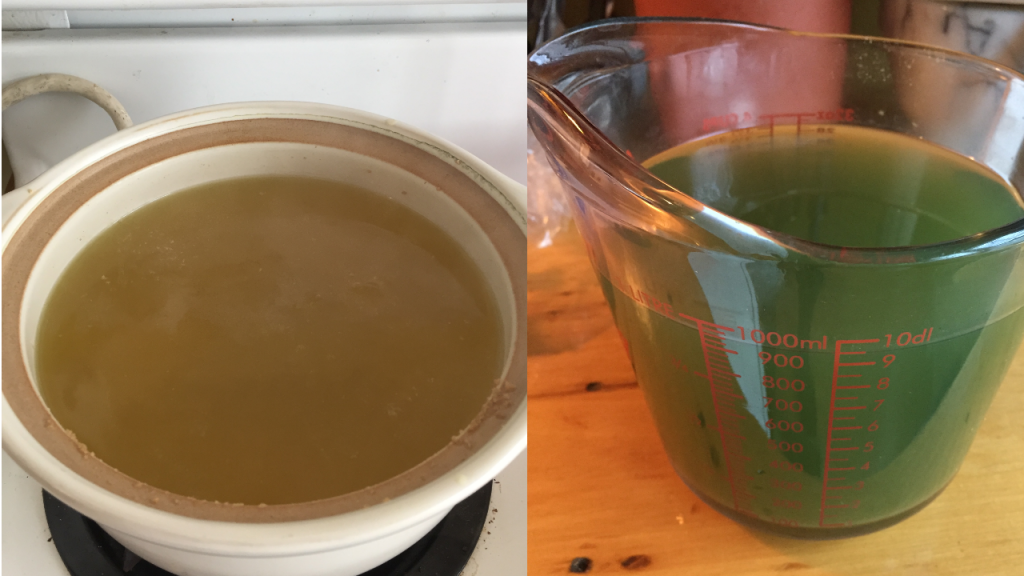 On the left is Gold Roast coffee freshly brewed, a nice golden colour. On the right is Gold Roast coffee after it has cooled, a bluish-green colour.