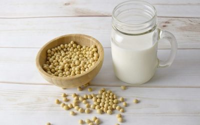 The Great Soy Debate